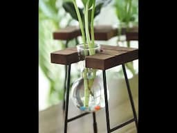 Mini Hydroponic Glass Bottle Vases From Temu