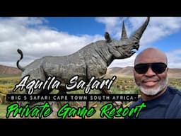 2024 visit to Aquila Safari and Private Game Resort Big 5 Safari in Cape Town South Africa  ​⁠