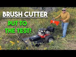 Putting a Brush Cutter to the Test | Is it worth the investment?