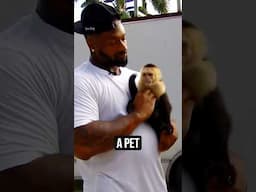 3 CRAZIEST Pets NFL Players Own