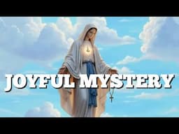 The Joyful Mystery - November 16, 2024