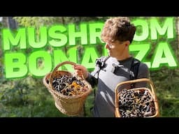 MUSHROOM BONANZA - Chef Spuz - Sp4zie IRL