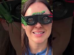 Insect Detecting Goggles