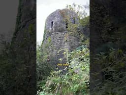 Exploring a secret ruin I found on Google Earth! #abandonedplaces #adventure #exploring #hiking