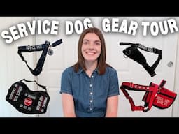 SERVICE DOG GEAR TOUR | updated service dog gear collection ft. harnesses, vests, hybrids, and more!