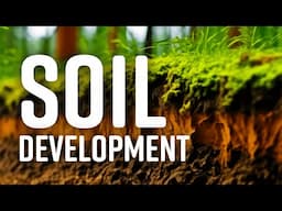 How do soils form and change?