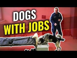 Why every correctional facility should have a canine program | Major Mark Flynn Interview