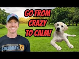 How To Calm Down a Crazy Puppy With Heel, Sit and Stay!