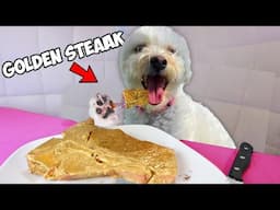 PUPPY EATS $10,000 STEAK!!