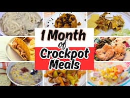 20 Fall CROCKPOT Meals | 1 month of Slow Cook Dinners | CROCKTOBER | CROCKPOT MARATHON