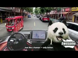 Smart Driving Odyssey - Chengdu, city of pandas