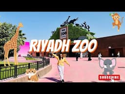 Riyadh Zoo | Largest Zoo in Saudi Arabia | Blue-eyed White Tiger SPOTTED