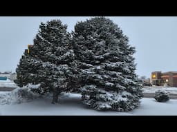 Blizzard Conditions in New Mexico - Clayton NM