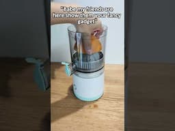 "Babe my friends are here show them your fancy gadget" #homehacks #kitchengadgets