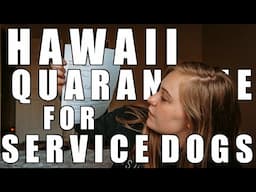 hawaii animal quarantine process SERVICE DOG EDITION