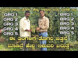 ತೊಗರಿ ಬೆಳೆಯುವ ಸುಲಭ ವಿಧಾನ|Bangalore red gram|1Ganga red gram 1|GRG 1|BRG 1|Thogari farming|thogari