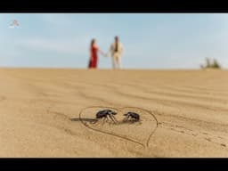 Jaisalmer Prewedding 4K | Hardik + Sweta | KORAT Films |