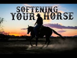 Softening Your Horse!: The Philosophy