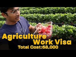 Agriculture work visa New Zealand | Seasonal Work Visa | BM Maniya