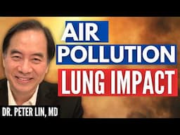 The Link Between Inflammation and Air Pollution Explained Clearly