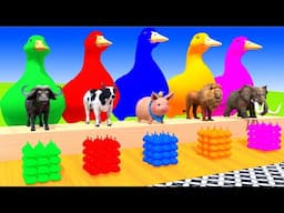 5 Giant Duck Cartoon,Cow,Elephant,Giraffe,Tiger,Lion, Paint Wild Animals Crossing Fountain Animation