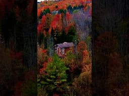 Beautiful Autumn in Canada #travel #autumnleaves #fallcolors #autumn