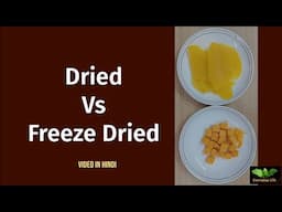 Dried Vs Freeze Dried | संरक्षित फल |  Everyday Life # 343