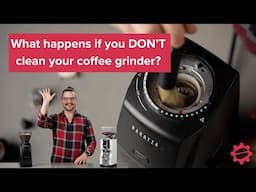 What happens if you DON'T clean your coffee grinder?! Espresso grinder and coffee grinder tips!