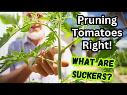 Master Tomato Pruning with a World Record Tomato Grower! Organic Gardening Tips & Advice!