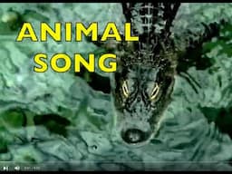 ANIMAL SONG for CHILDREN / Learn ABC LETTERS / Part C / EDUCATIONAL KIDS / Toddlers, Preschool, K-2