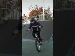 Tailwhips are cool #shorts