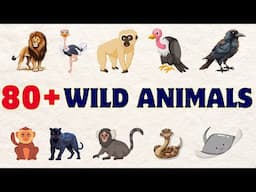 80+ Wild Animals | Learn Animals Name In English With Pictures | Animals Vocabulary In English