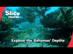 Discover the Bahamas: A Hidden Ocean Paradise | SLICE TRAVEL | FULL DOC