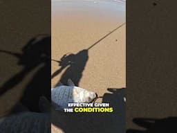 HOW not IF [SoCal Surf Fishing]