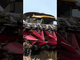 sketchy bridge crossing for two HUGE combines and one FULL grain cart! #harvest #newholland