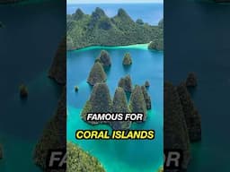 Raja Ampat Known as “The Last Eden” is Majestic #shorts