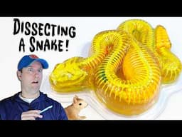 Dissect It Rattle Snake Super Lab Experiment Review with Cake Sprinkles?