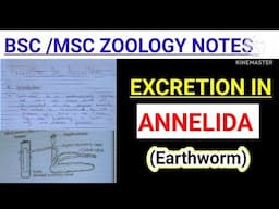 EXCRETION IN ANNELIDA ||EXCRETION IN EARTHWORM BSC zoology notes #vbu #skmu #mjpru