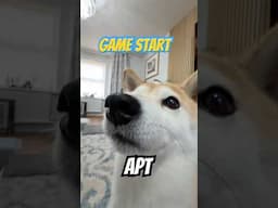 APT (game start doge) #cutenessoverload