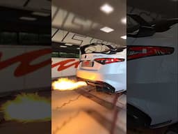 Tuned Alfa Giulia GTAm shooting massive flames on dyno! #giuliagta #flames #dyno