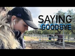 Saying Goodbye to One of My Horses | UPDATE VIDEO