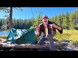 We Hiked 11 MILES into the YOSEMITE BACKCOUNTRY to Catch these Trout! (Fishing Catch & Cook!)