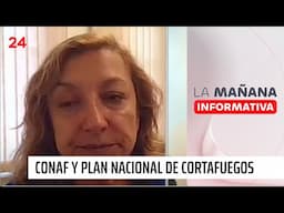 Directora Conaf: "Necesitamos una cultura de prevención de incendios forestales" | 24 Horas