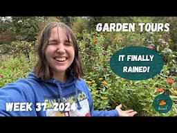 Can you believe the garden is still this beautiful? | Garden Tour WEEK 37, 2024