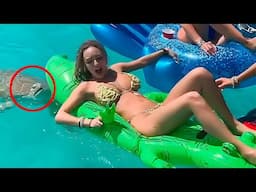 50 Most Ridiculous Moments Caught On Camera!