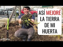 CÓMO ARREGLAR UN TERRENO PARA HACER UN HUERTO: mejora la tierra de tu parcela || en20metros