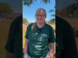 Keeper Kristi Zookeeper Week