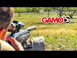 Are Gamo Break Barrels REALLY Worth the Hype?