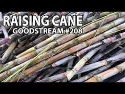 Raising Cane (Goodstream 208)