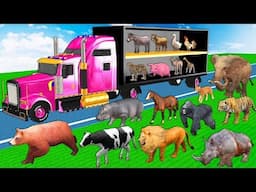 Learn Wild Animals Go To Home On Transporter Truck For Kids - Animals Names & Sounds For Children